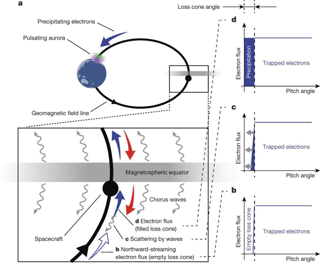 Figure 1. Schematic of electron scattering by chorus waves, resulting in a pulsating aurora. (a) The open blue arrow represents northward-streaming electrons with an empty loss cone (b) before chorus waves interact with them (c). The blue filled arrows represent the same electrons but with a filled loss cone (d) after their interaction with chorus waves (pitch-angle scattering by waves). The red arrows represent loss-cone-filling electrons streaming southward. The spacecraft location is denoted by a black filled circle. (b–d) The evolution of the electron pitch angle distribution. Because chorus activity is intermittent, loss cone filling and depletion are repeated, causing auroral pulsations. Figure adopted from Kasahara et al [2018].